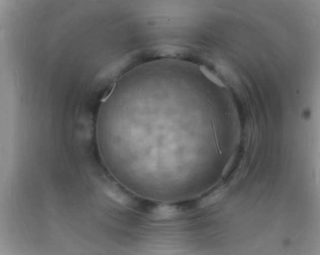 X0000092110413200709191332