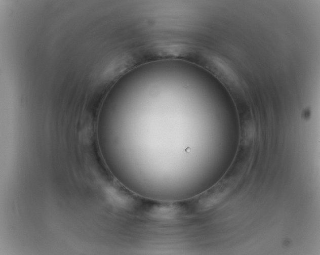 X0000092110414200709191332