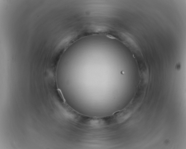 X0000092110415200709191332