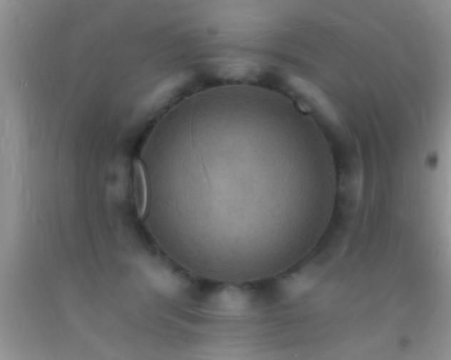 X0000092110416200709191332