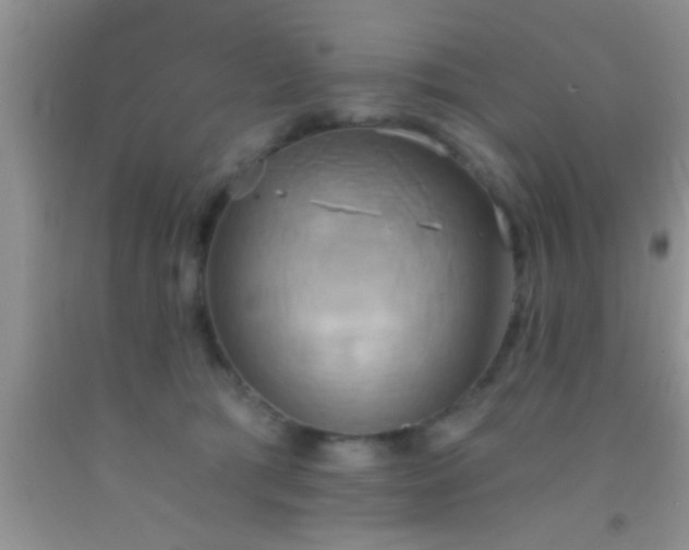 X0000092110417200709191332