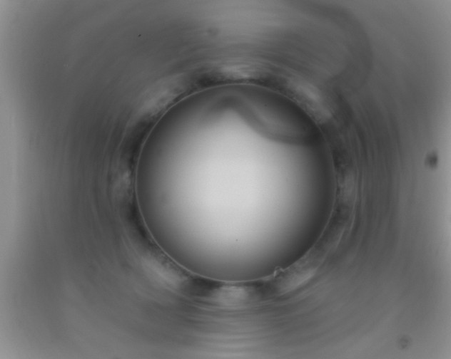 X0000092110418200709191332