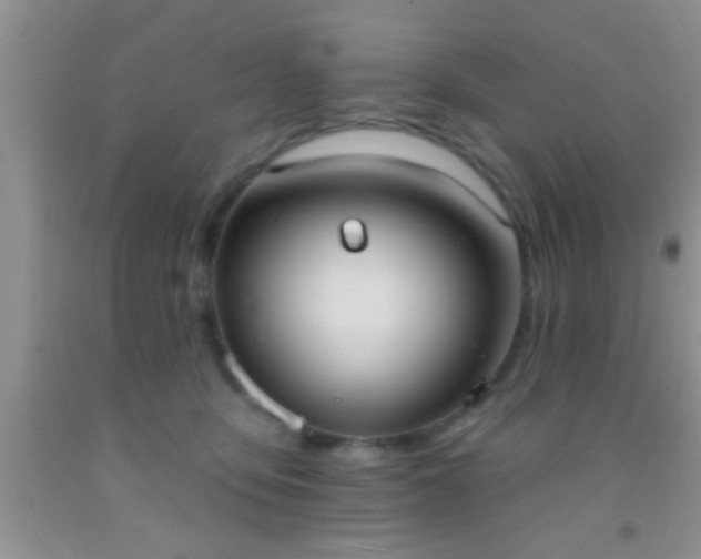 X0000092110419200709191332