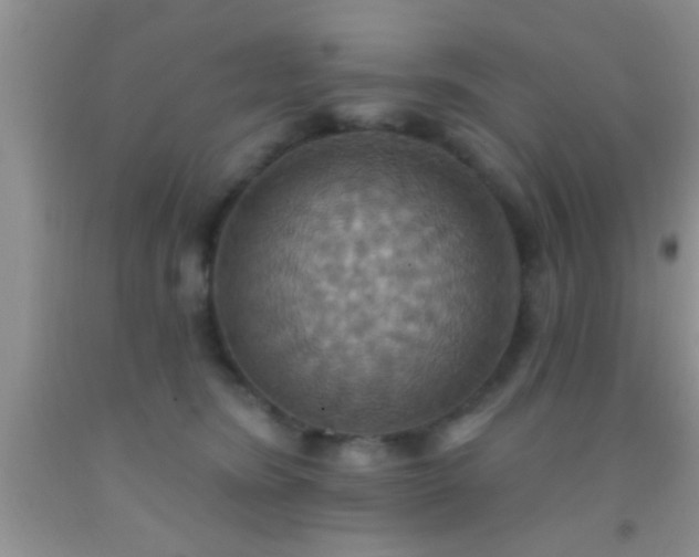 X0000092110420200709191332