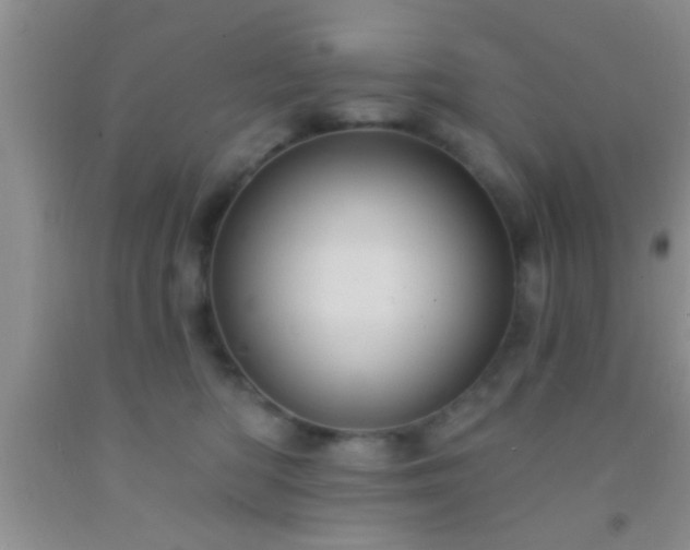 X0000092110422200709191332