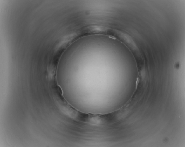 X0000092110423200709191332