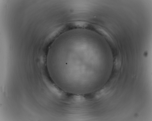 X0000092110424200709191332