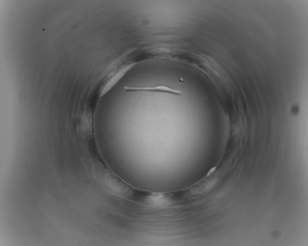 X0000092110425200709191332