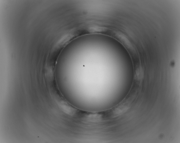 X0000092110426200709191332