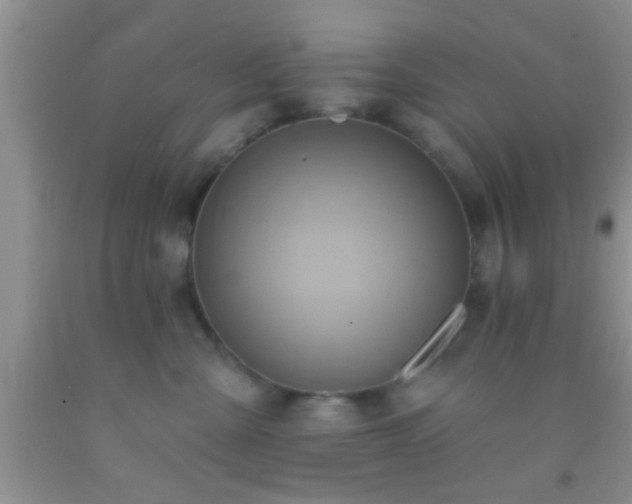 X0000092110427200709191332