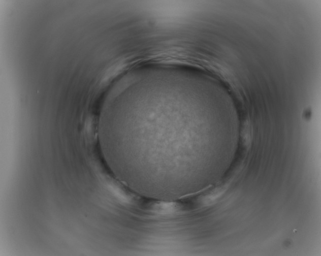 X0000092110428200709191332