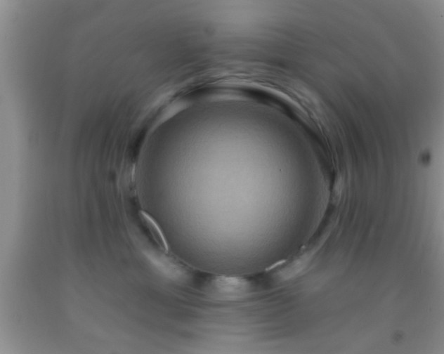 X0000092110429200709191332