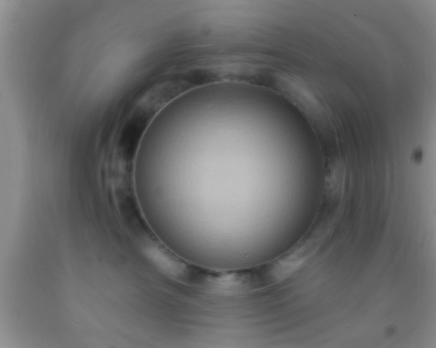 X0000092110430200709191332