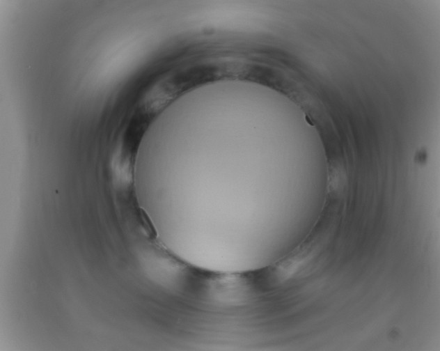 X0000092110431200709191332