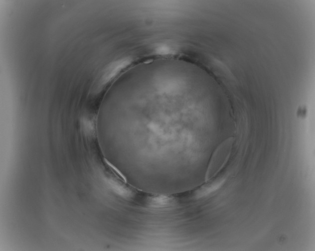 X0000092110432200709191332