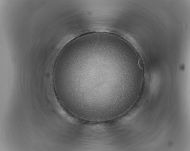 X0000092110433200709191331