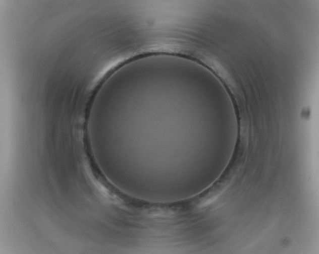 X0000092110434200709191331