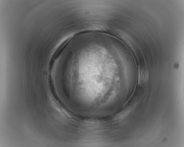 X0000092110435200709191331