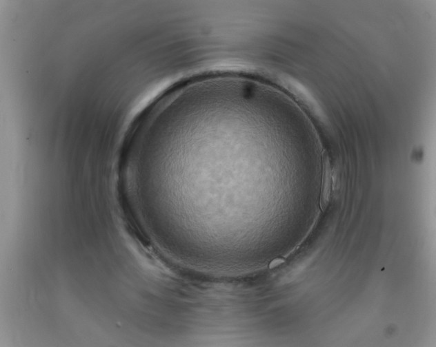 X0000092110436200709191331