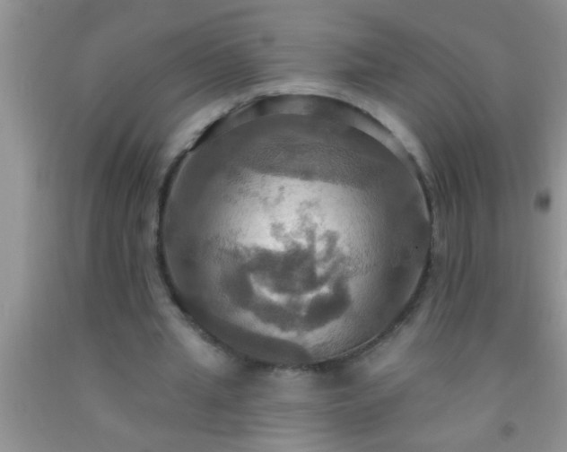 X0000092110437200709191331