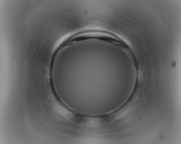 X0000092110438200709191331