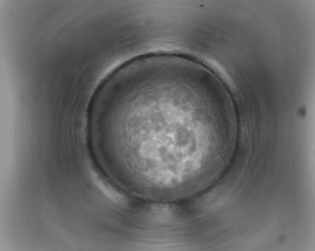 X0000092110439200709191331