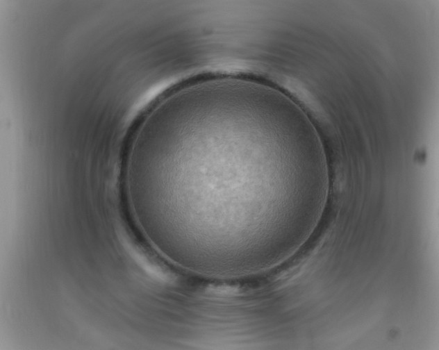 X0000092110440200709191331