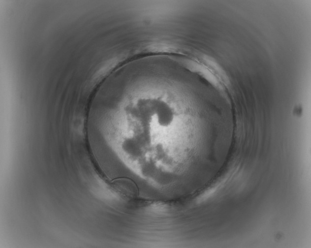 X0000092110441200709191331