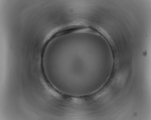 X0000092110442200709191331