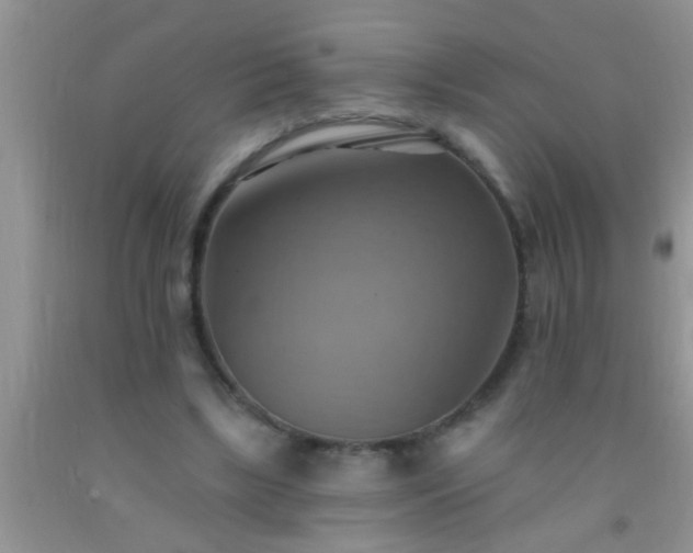 X0000092110443200709191331