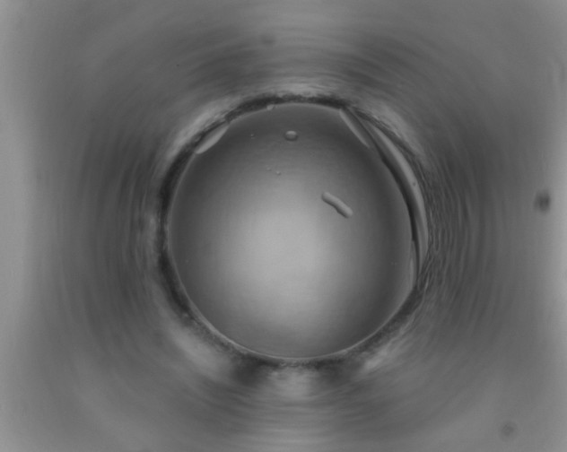 X0000092110444200709191331