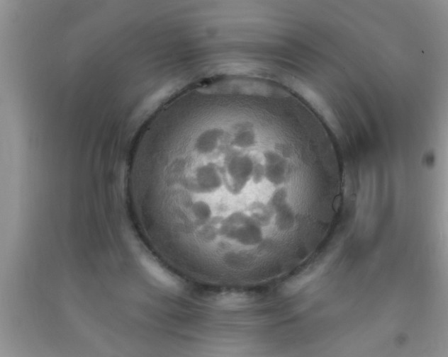 X0000092110445200709191331