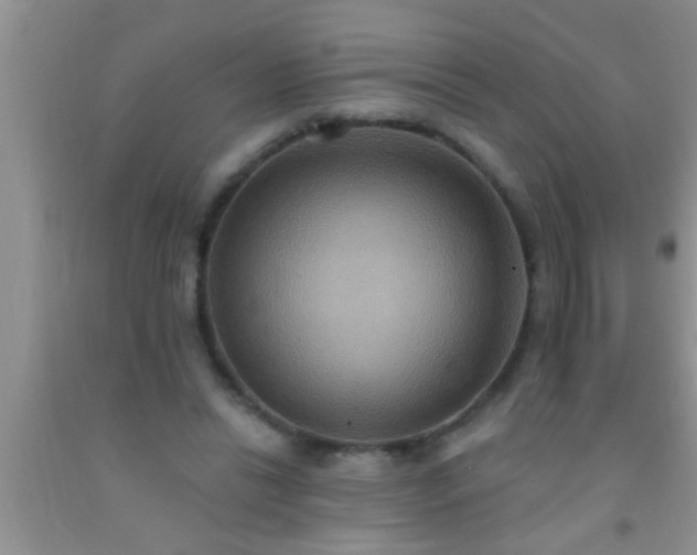 X0000092110446200709191331