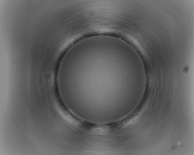 X0000092110447200709191331