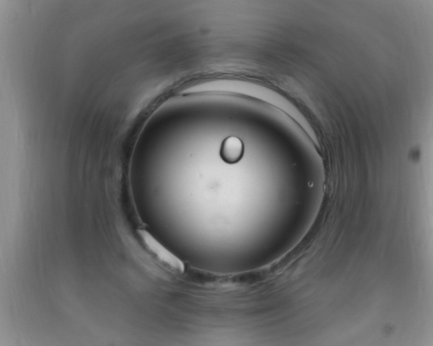 X0000092110448200709191331