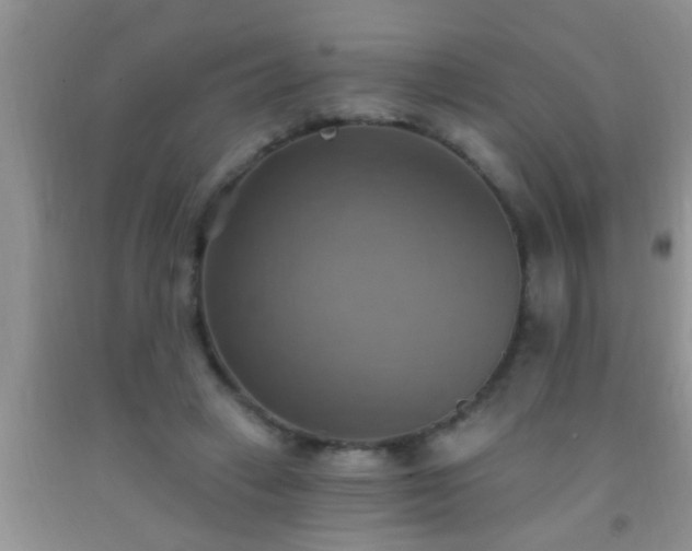 X0000092110449200709191331