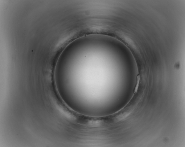 X0000092110450200709191331