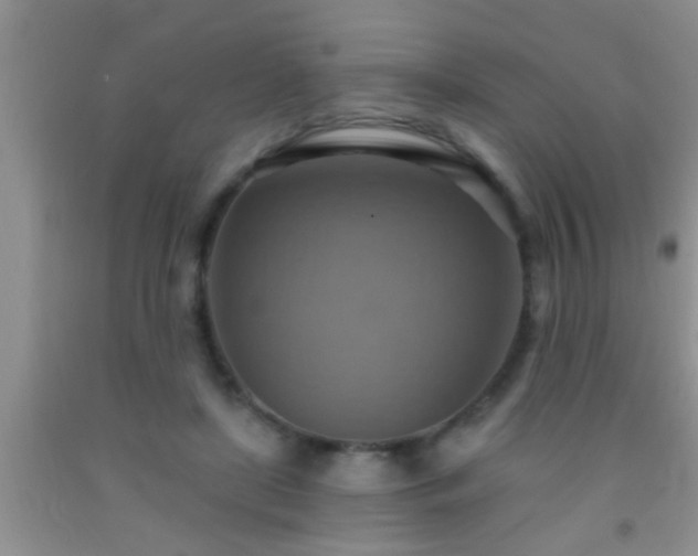 X0000092110451200709191331