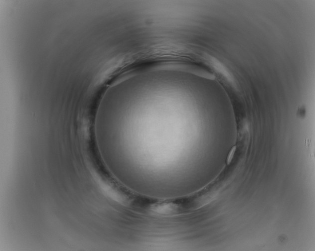 X0000092110452200709191331