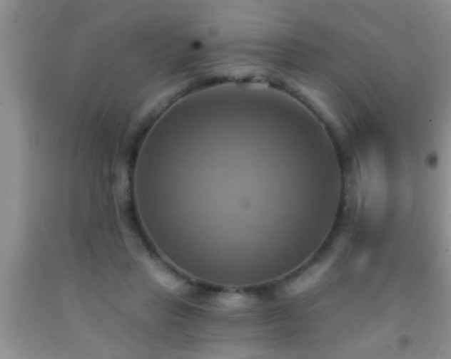 X0000092110453200709191331