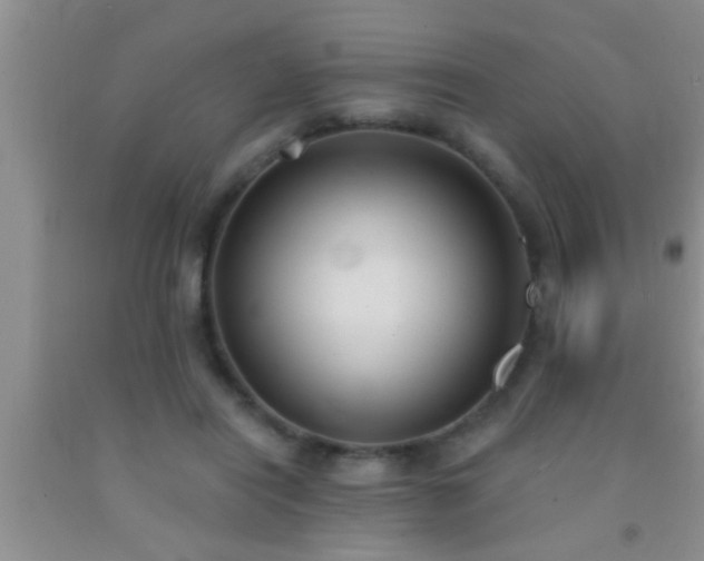 X0000092110454200709191331