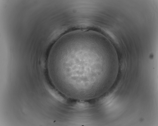 X0000092110455200709191331