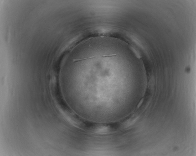 X0000092110456200709191331