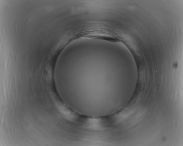 X0000092110457200709191331