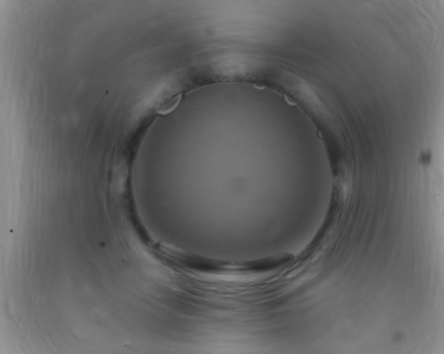 X0000092110458200709191331