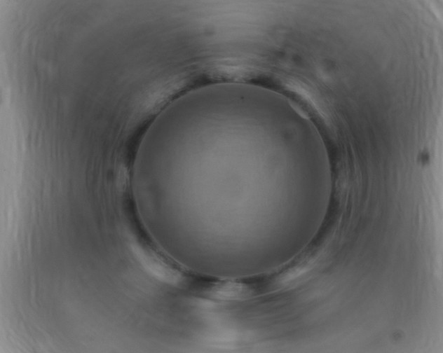 X0000092110459200709191331