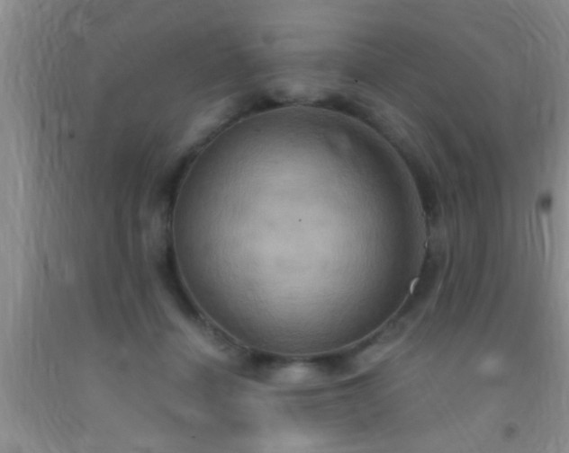 X0000092110460200709191331