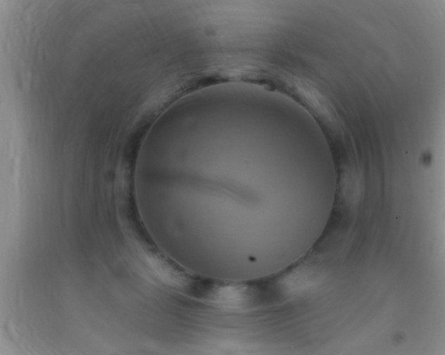 X0000092110461200709191331