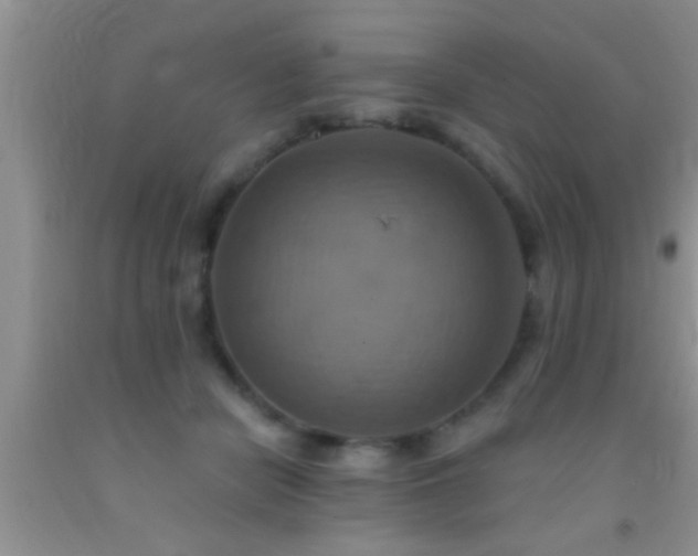 X0000092110462200709191331