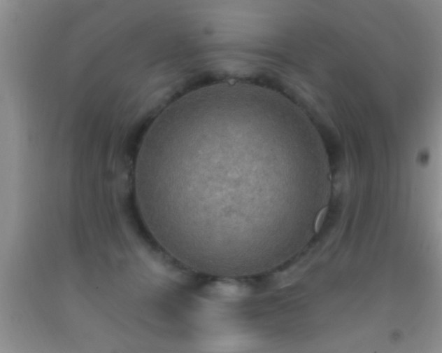 X0000092110464200709191331